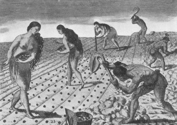 Framed Print : Native American Indian Agriculture, 16th Century Framed Print : Native American Indian Agriculture, 16th Century