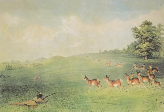 Framed Print : Native American Indian Hunting Antelope, 1860