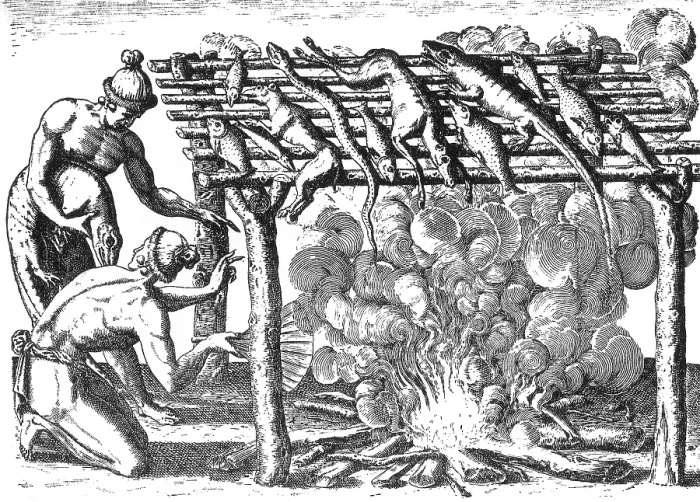 Framed Print : Native American Indians Barbecuing Alligators, 16th Century Framed Print : Native American Indians Barbecuing Alligators, 16th Century