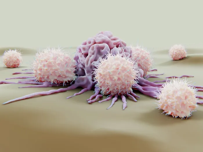 Framed Print : Natural killer cells attacking a cancer cell