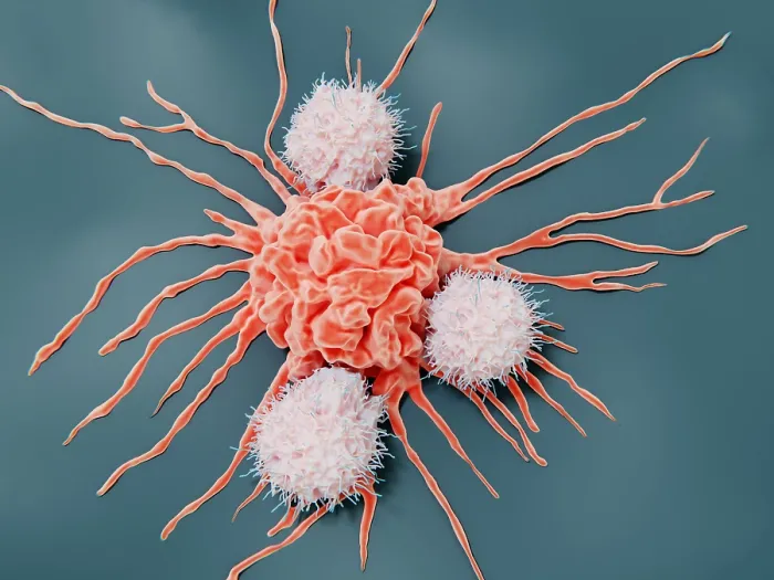 Framed Print : Natural killer cells attacking a cancer cell