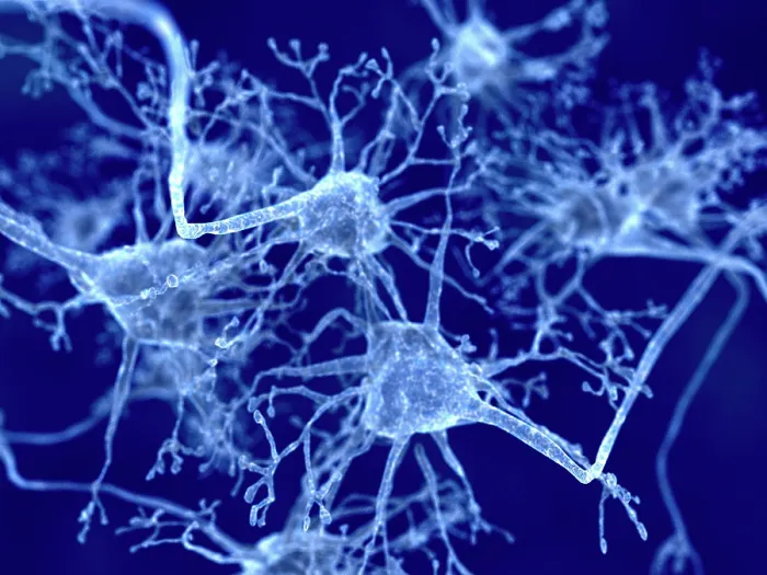 Framed Print : Nerve cells, artwork