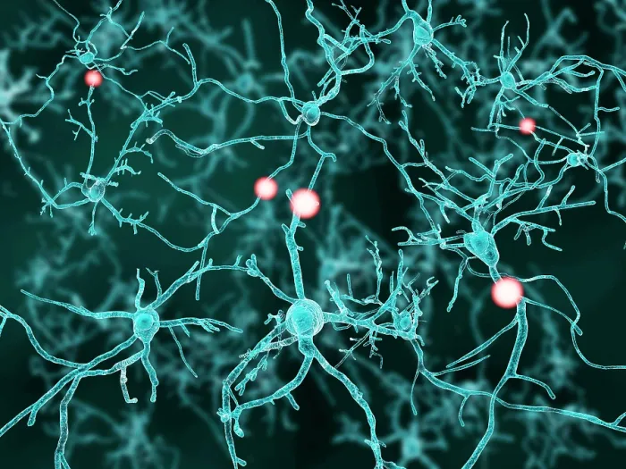 Framed Print : Nerve cells, artwork Framed Print : Nerve cells, artwork