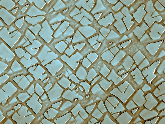 Framed Print : Nickel Alloy, under a microscope (SEM) Framed Print : Nickel Alloy, under a microscope (SEM)