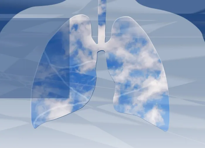 Framed Print : Non-Polluted Lungs