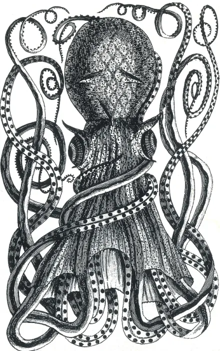 Framed Print : Octopus, 18th Century Framed Print : Octopus, 18th Century