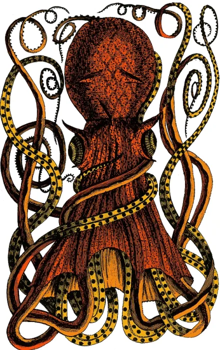 Framed Print : Octopus, 18th Century Framed Print : Octopus, 18th Century