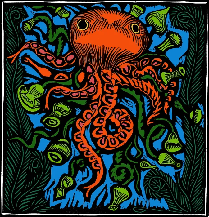 Framed Print : Octopus, 20th Century Framed Print : Octopus, 20th Century