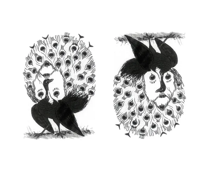 Framed Print : Optical Illusion, Peacock and Mr. Bluebeard Framed Print : Optical Illusion, Peacock and Mr. Bluebeard