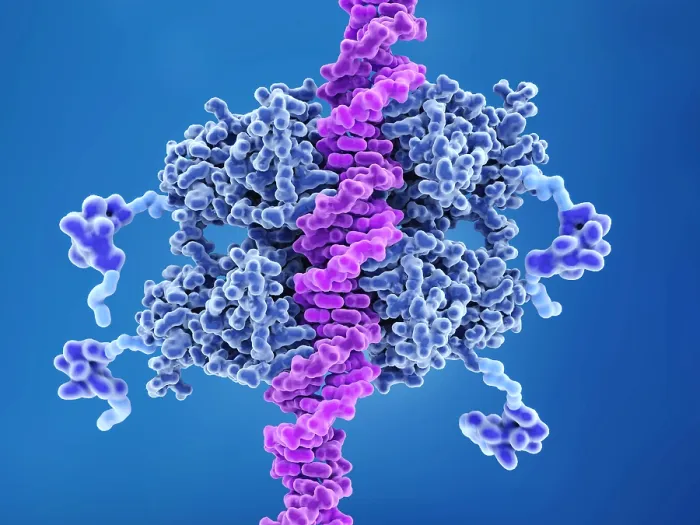 Framed Print : P53 tumor suppressor bound to DNA