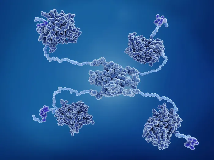Framed Print : The P53 tumor suppressor protein Framed Print : The P53 tumor suppressor protein