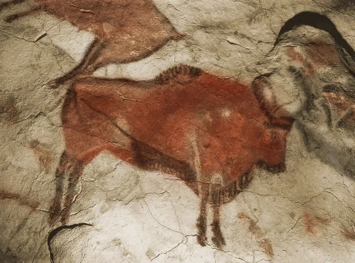 Framed Print : Paleolithic Cave Painting of a Bison, Altamira, Spain Framed Print : Paleolithic Cave Painting of a Bison, Altamira, Spain