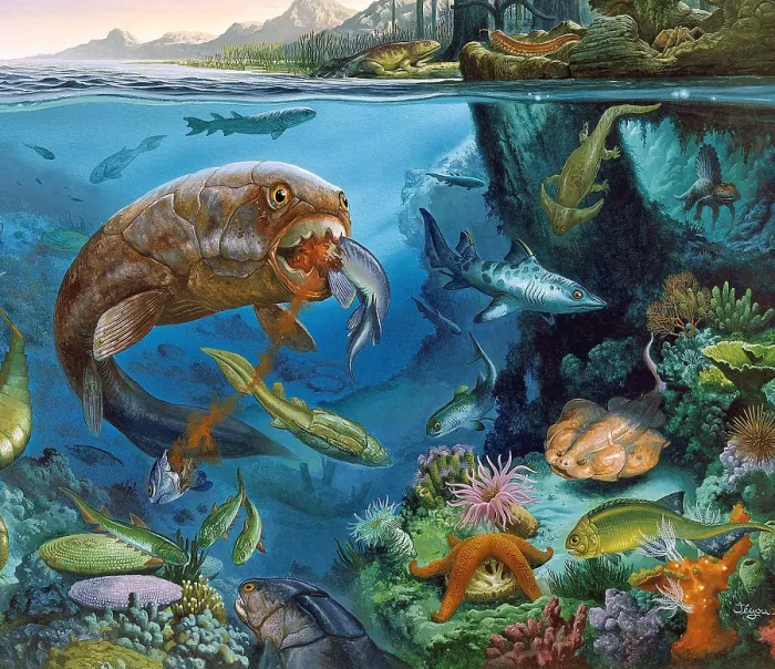 Framed Print : Paleozoic Marine Animals