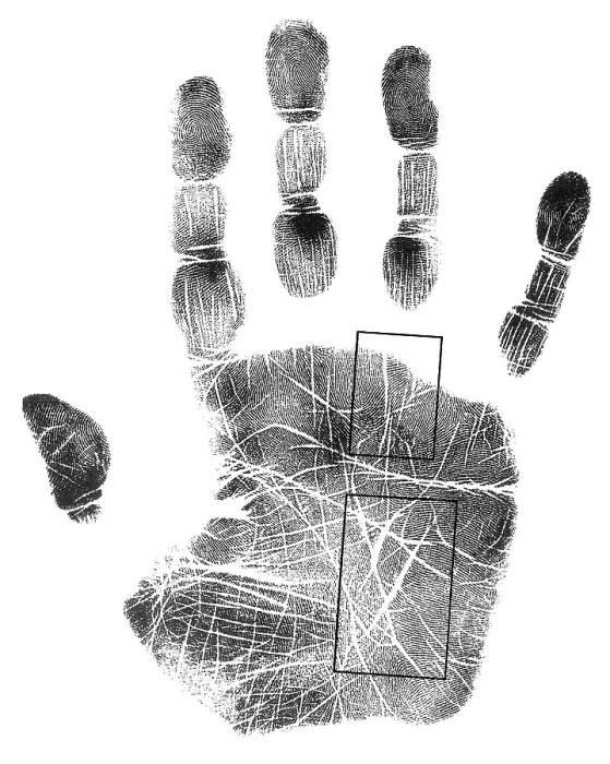 Framed Print : Palmistry, Apollo and Mercury Lines Framed Print : Palmistry, Apollo and Mercury Lines