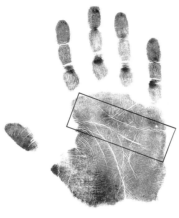 Framed Print : Palmistry, Head and Heart Lines Framed Print : Palmistry, Head and Heart Lines