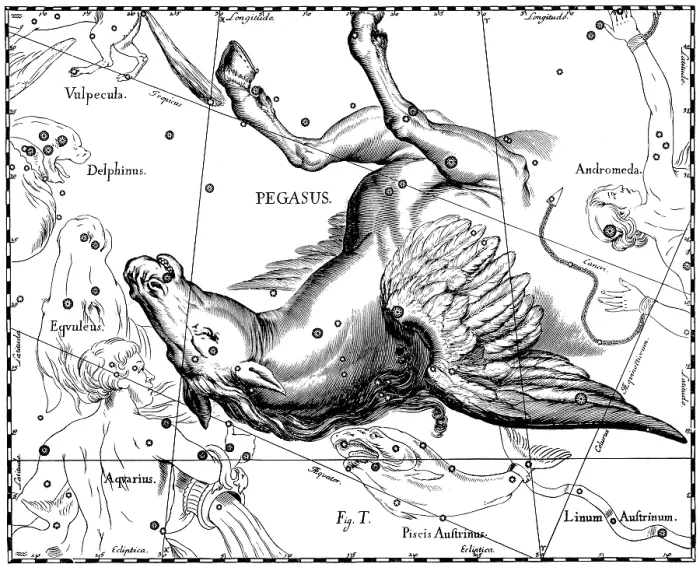 Framed Print : Pegasus Constellation, Hevelius, 1687
