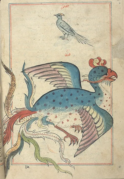 Framed Print : Persian Mythical Bird, Simurgh, 17th Century Framed Print : Persian Mythical Bird, Simurgh, 17th Century