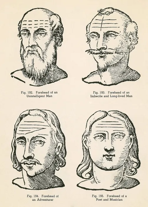 Framed Print : Physiognomy, 1637 Framed Print : Physiognomy, 1637
