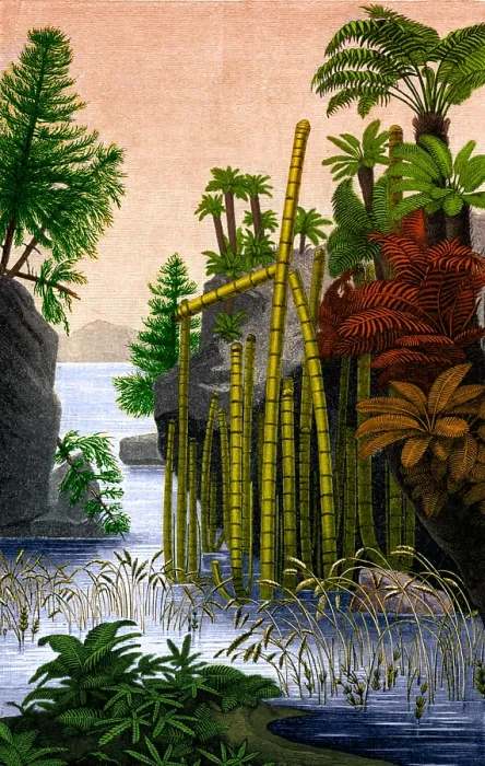 Framed Print : Plants of the Triassic Period Framed Print : Plants of the Triassic Period
