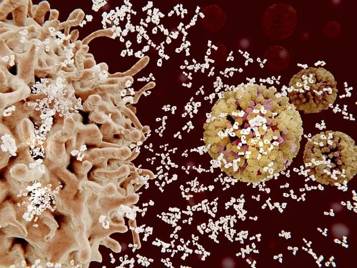 Framed Print : Plasma cells (B-cells) segregate specific antibodies to mark an subsequently destroy viruses (influenza viruses)