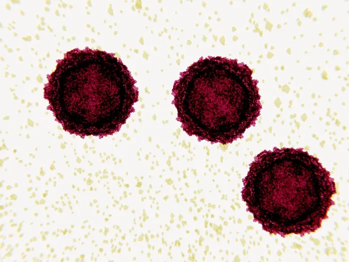 Framed Print : Poliovirus, 3D illustration