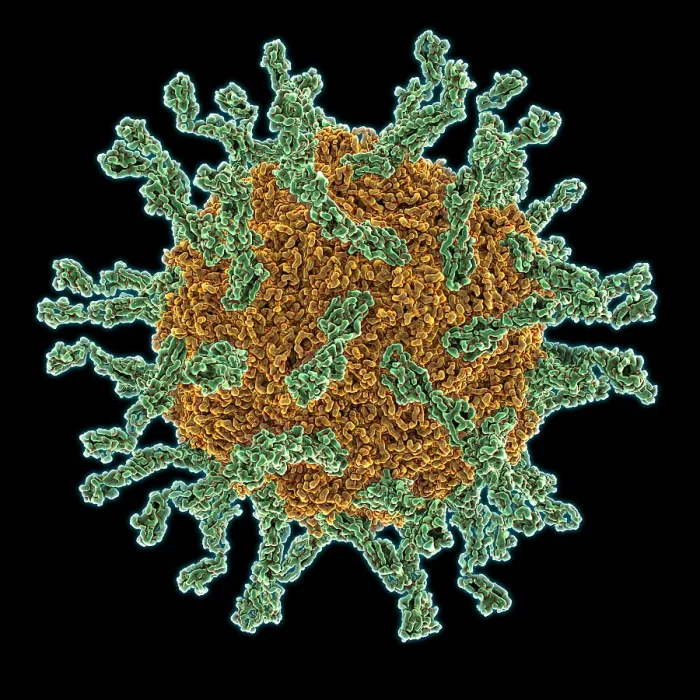 Framed Print : Poliovirus Type I Framed Print : Poliovirus Type I