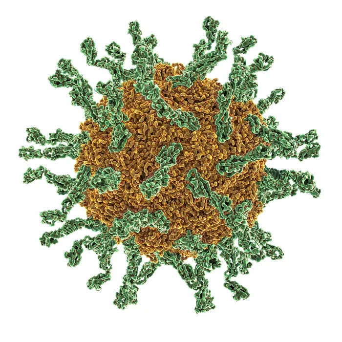 Framed Print : Poliovirus Type I Framed Print : Poliovirus Type I