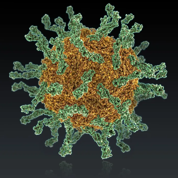 Framed Print : Poliovirus Type I Framed Print : Poliovirus Type I