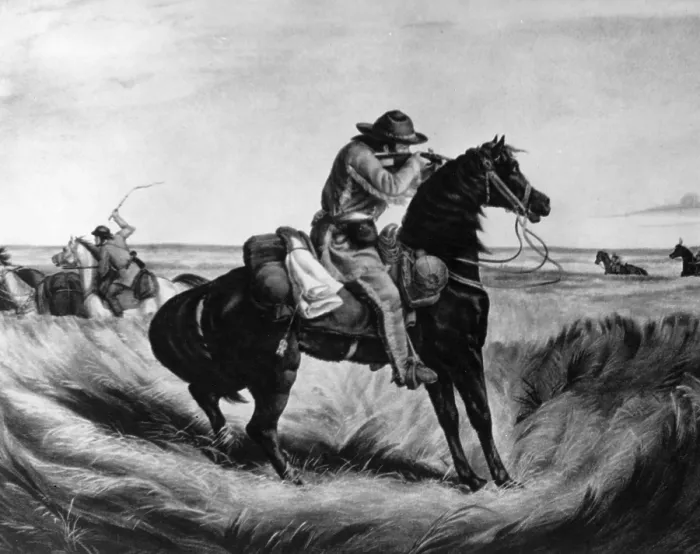 Framed Print : Prairie Battle Framed Print : Prairie Battle