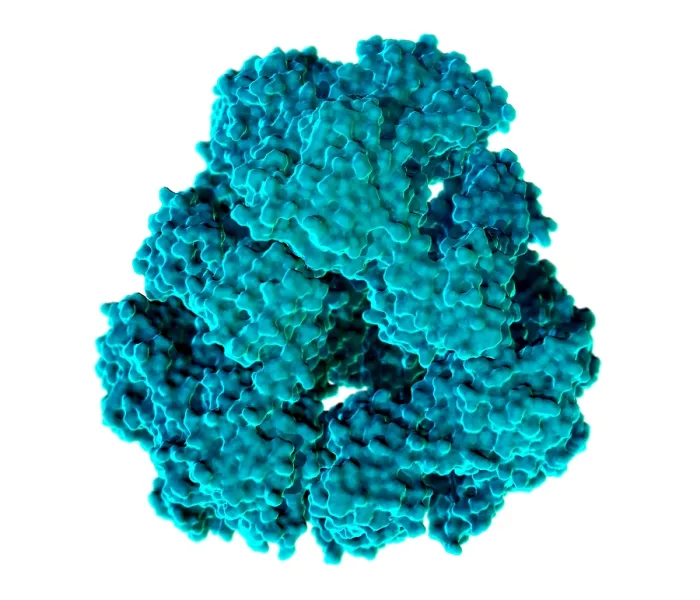 Framed Print : Protein Cage, Molecular Model