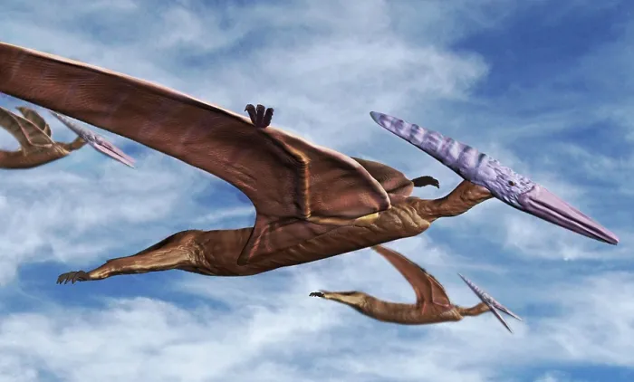 Framed Print : Pterodactyls in Flight Framed Print : Pterodactyls in Flight