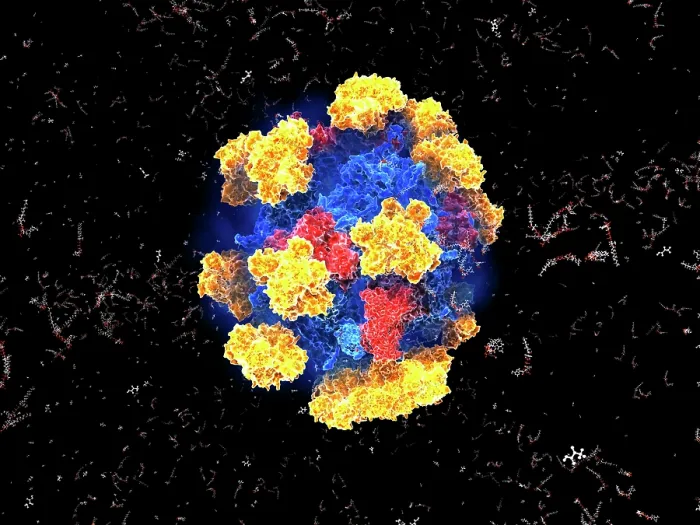 Framed Print : Pyruvate dehydrogenase complex Framed Print : Pyruvate dehydrogenase complex