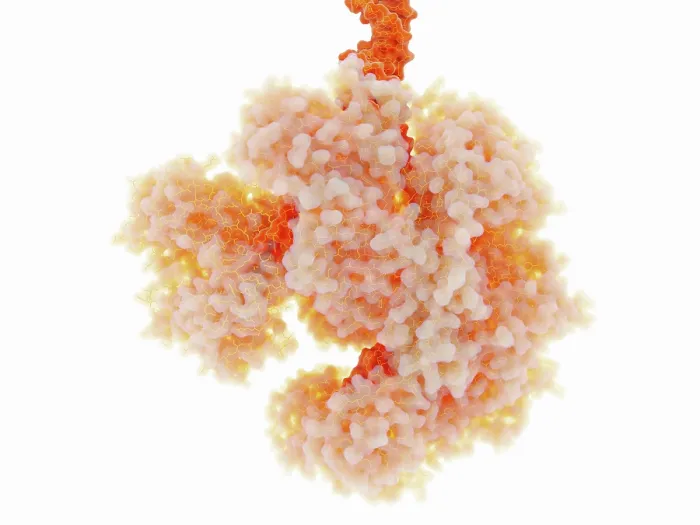 Framed Print : RecBCD, Enzyme of E. coli Framed Print : RecBCD, Enzyme of E. coli