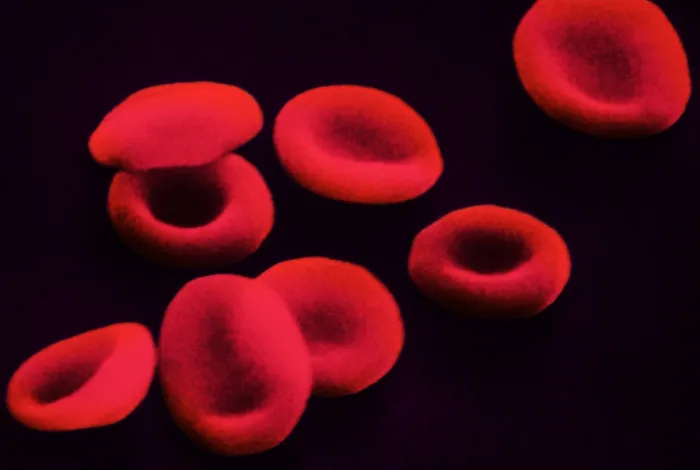 Framed Print : Red Blood Cells, under a microscope (SEM) Framed Print : Red Blood Cells, under a microscope (SEM)