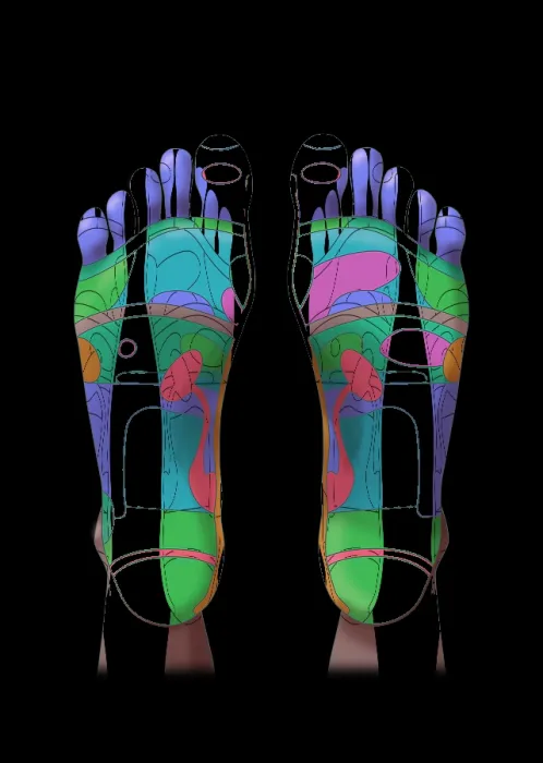 Framed Print : Reflexology, Illustration Framed Print : Reflexology, Illustration