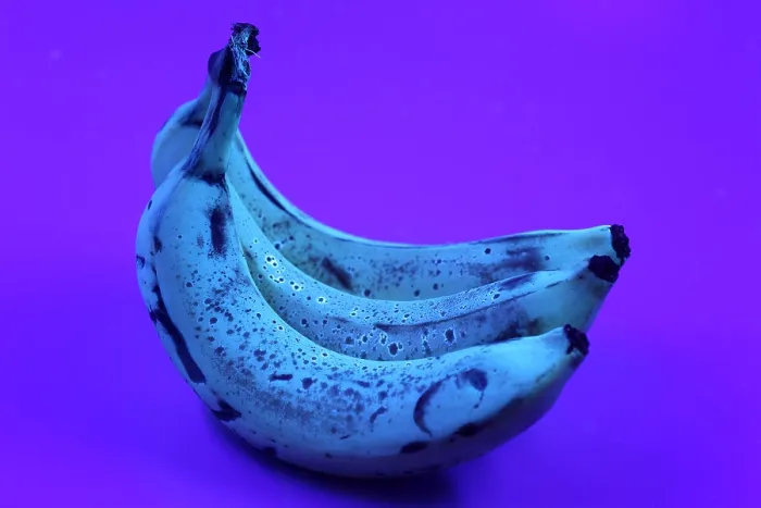 Framed Print : Ripe Bananas in UV Light (2 / 2)