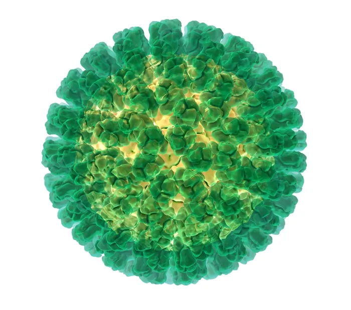 Framed Print : Rotavirus, Molecular Model Framed Print : Rotavirus, Molecular Model