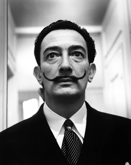 Framed Print : Salvador Dali, Spanish Surrealist