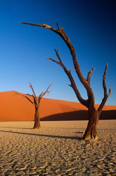 Framed Print : Sand dunes, Namibia
