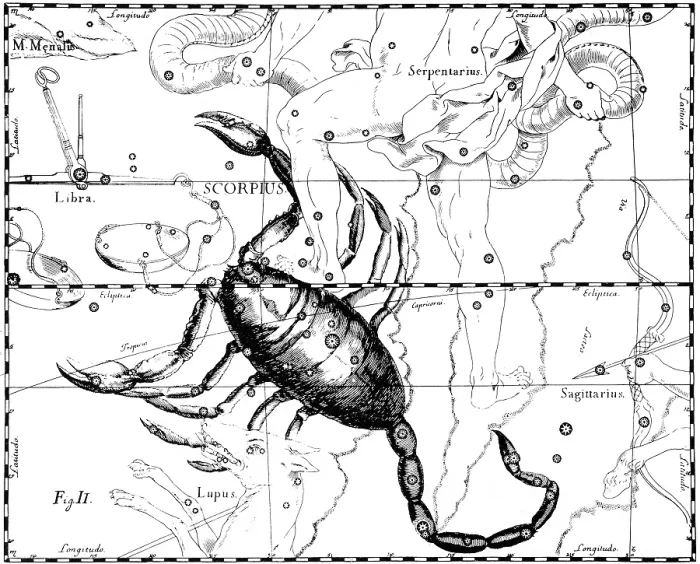 Framed Print : Scorpius Constellation, Zodiac Sign, Hevelius Framed Print : Scorpius Constellation, Zodiac Sign, Hevelius