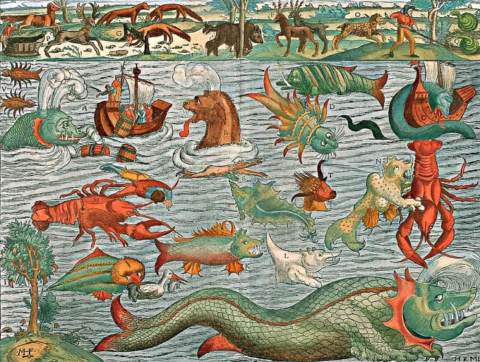 Framed Print : Sea Monsters, 1544