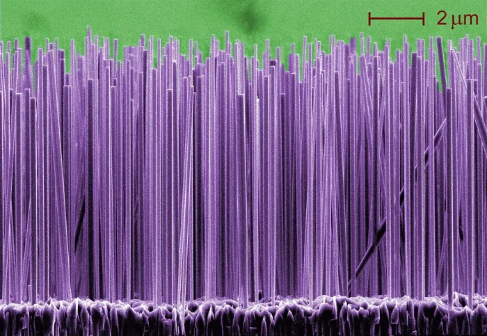 Framed Print : Semiconductor Nanowires, under a microscope (SEM)