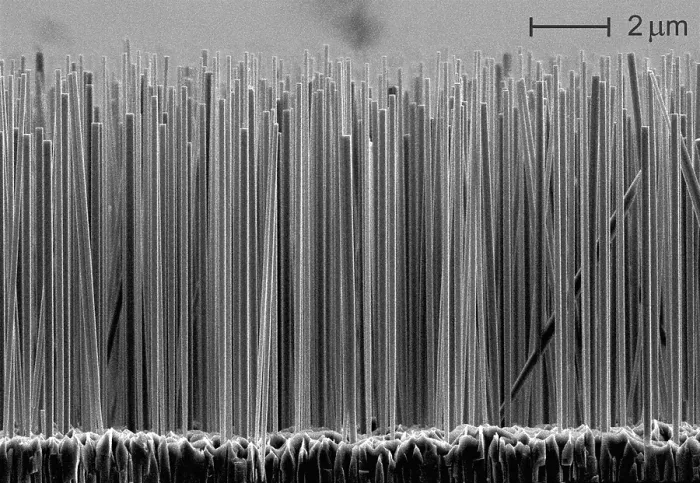 Framed Print : Semiconductor Nanowires, under a microscope (SEM)