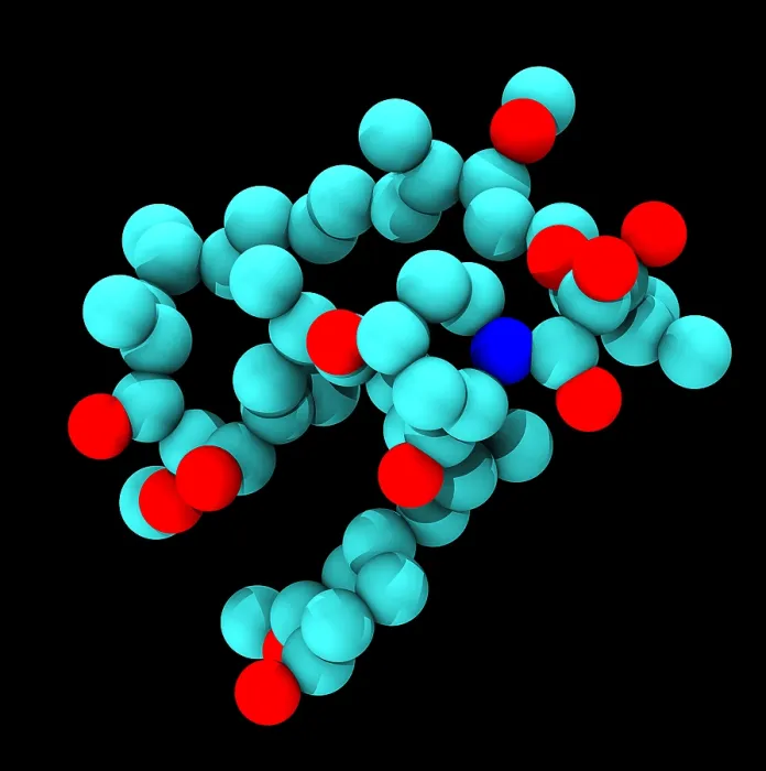 Framed Print : Sirolimus (Rapamycin), Molecular Model