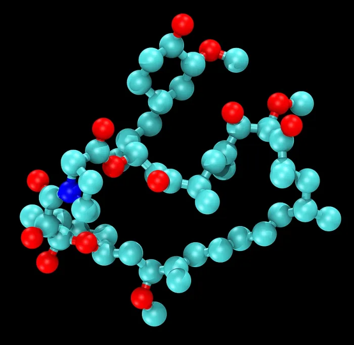 Framed Print : Sirolimus (Rapamycin), Molecular Model