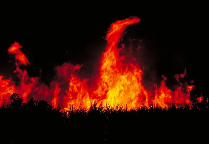 Framed Print : Slash and burn agriculture