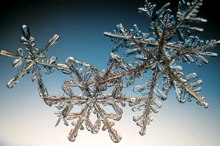 Framed Print : Snowflake. A snowflake or a snow crystal