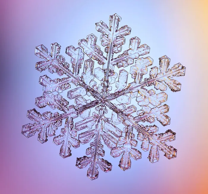 Framed Print : Snowflake with a stellar (or dendritic) crystal form Framed Print : Snowflake with a stellar (or dendritic) crystal form