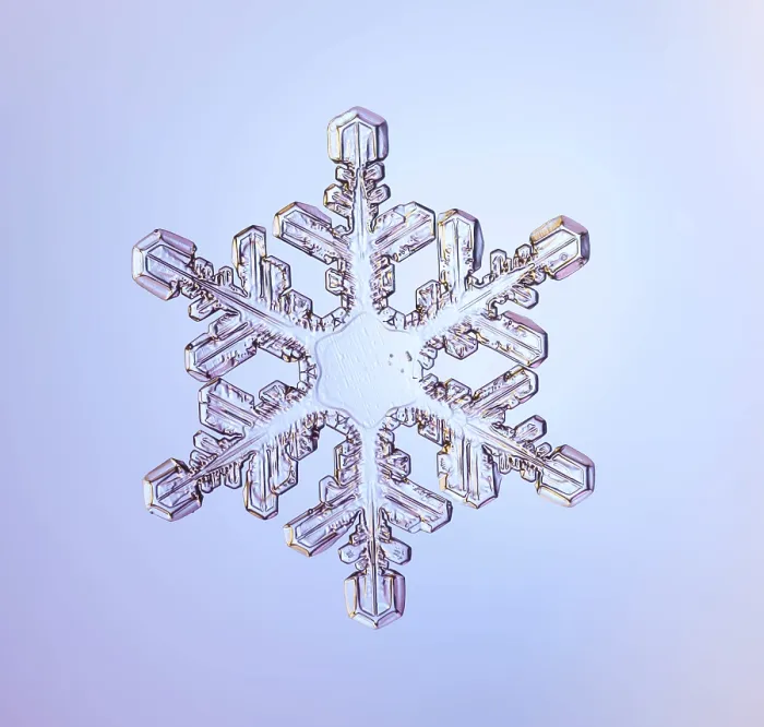 Framed Print : Snowflake. A Snowflake with a stellar (or dendritic) crystal form Framed Print : Snowflake. A Snowflake with a stellar (or dendritic) crystal form