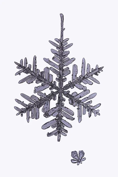 Framed Print : Snowflake. A snowflake or a snow crystal Framed Print : Snowflake. A snowflake or a snow crystal